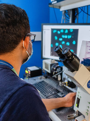 Staff member sits in front of a microscope while looking at a scientific image on a nearby computer screen