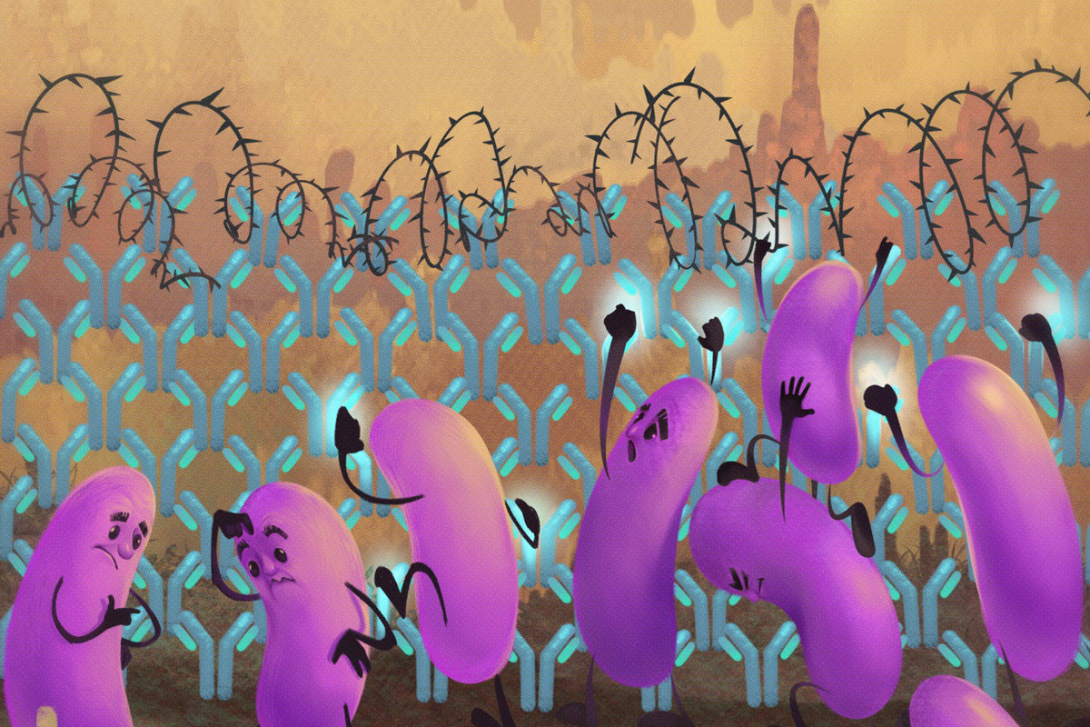 An illustrated representation of malaria parasites prevented from spreading by a barbed wire fence of antibodies.
