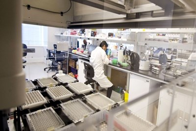 Photo of researcher in a lab.