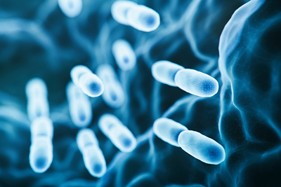 Abstract Lactobacillus Bulgaricus Bacteria.