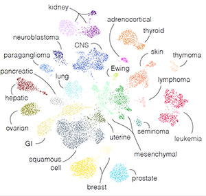 Clusters of dots represent the 27 tumour families and their subtypes identified by the platform.