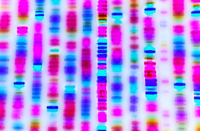 Colourful vertical stripes representing a genome sequence.
