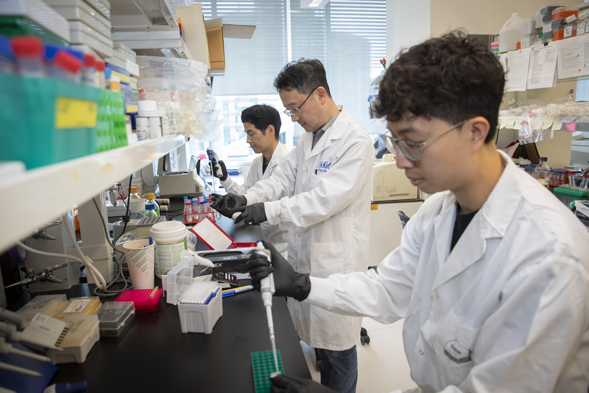 Dr. Tae-Hee Kim and collaborators working in lab environment