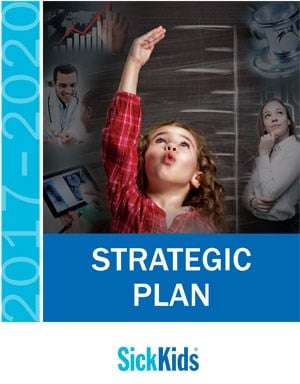Learning Institute Strategic Plan cover 2017-2020