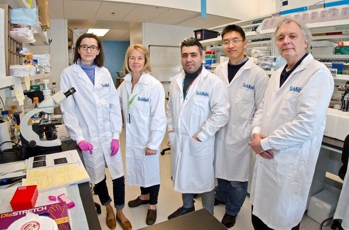 Team of five staff stand in a lab wearing lab coats.