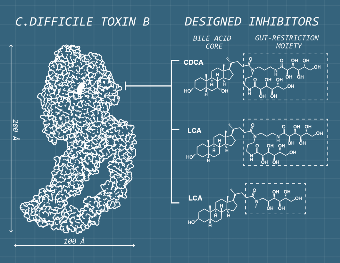 SickKids-led study reveals promising gut-targeted therapy for C ...