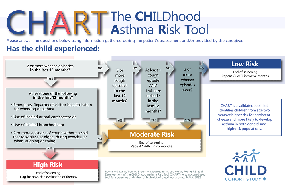 Diagram that shows questions that need to be answered during a patient's assessment and/or provided by a caregiver in the chart tool. Each question leads to an assessment that is marked either High Risk, Moderate Risk or Low Risk. High Risk score flags for follow-up physician evaluation of therapy. Moderate Risk flags to repeat the chart assessment in six months. Low risk flags to repeat chart assessment in twelve months.