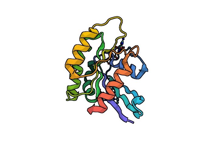 Illustration of a mutation in a RAS signalling protein