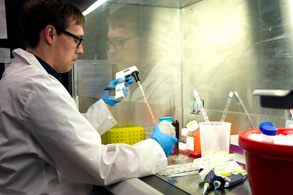 Scientist works under a vent hood.