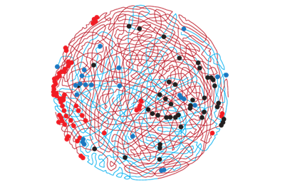 Red and blue chromosomal 'arms' swirl in a circle, with red, blue and black dots heavily concentrated on the far left and middle right sides of the circle.