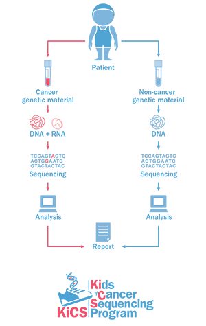 A graphic showing the KiCS process for collecting an analyzing genetic material, beginning with collection, to sequencing of DNA and RNA, to analysis and reporting.