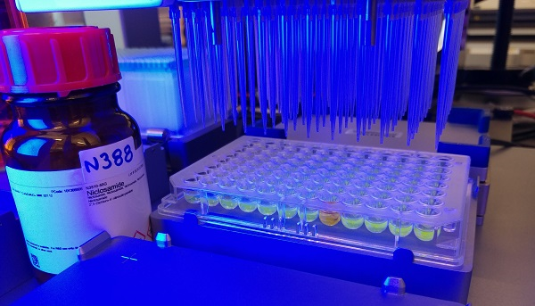 Bottle next to tray with droppers above, lit blue.