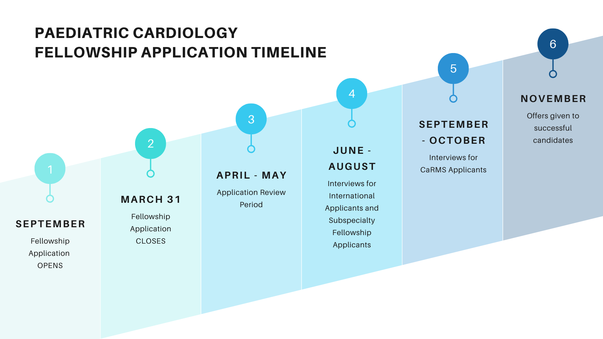 Paediatric Cardiology Fellowship  application timeline that includes application submission, application review period, interviews and offers given to successful candidates.