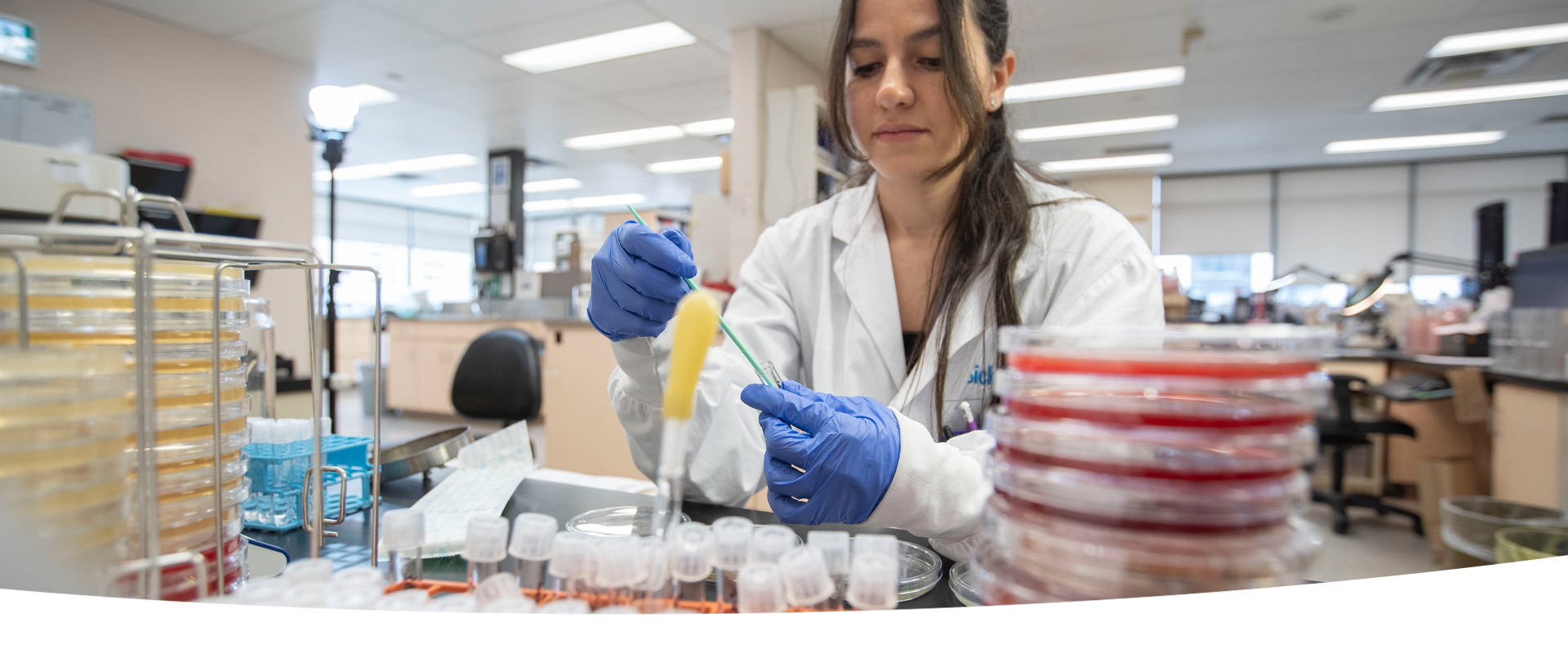 A lab professional wearing a lab coat and blue gloves at a bench examining a sample in a glass tube. In the foreground, there are stacks of petri dishes and glass tubes.