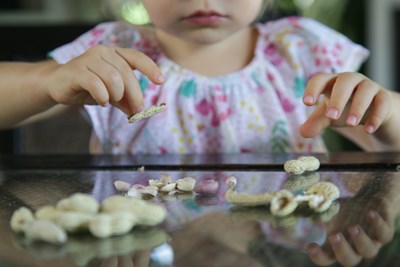 A young child pictured at a table cracking open peanut shells 