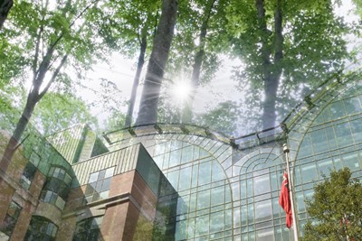 A photo of the exterior of the SickKids Atrium with trees and leaves overlaid. The sun is shining through the trees.