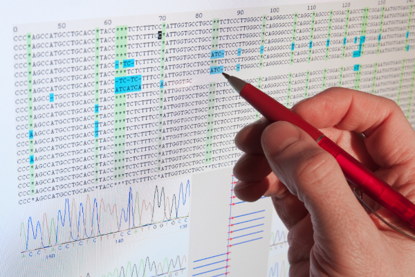 A hand holding a red pen points to a computer screen displaying a DNA sequence alignment with highlighted variants and chromatogram traces below