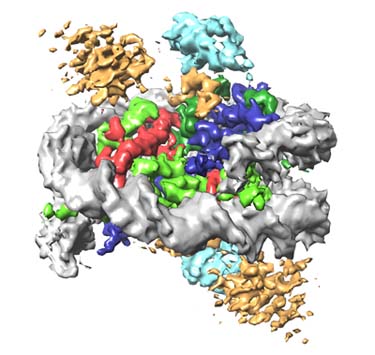 A microscopic image of DNA, histones and molecules, depicted using grey, gold, blue, cyan, red and green colours.