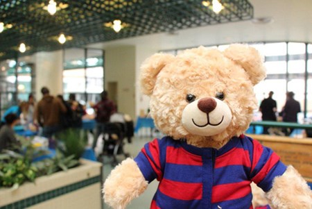 A teddy bear wearing a blue and red striped tshirt