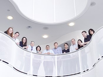 Team of twelve staff look over a railing from a balcony. Photo taken from below.