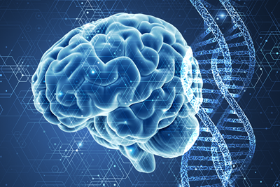 Graphic showing a brain and DNA with a hexagonal pattern overlaid.