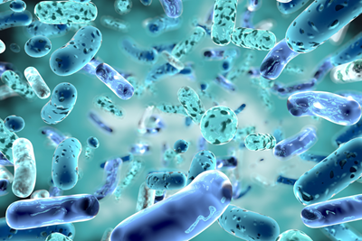 Micronutrients shown at a microscopic level.