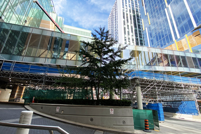 A bridge over a city street, connected to one building on either end. The bridge is made of large panels of clear glass