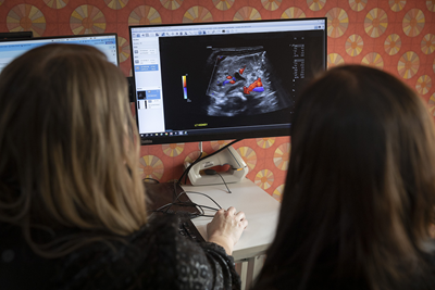 Two people at a computer screen that is displaying an ultrasound image.