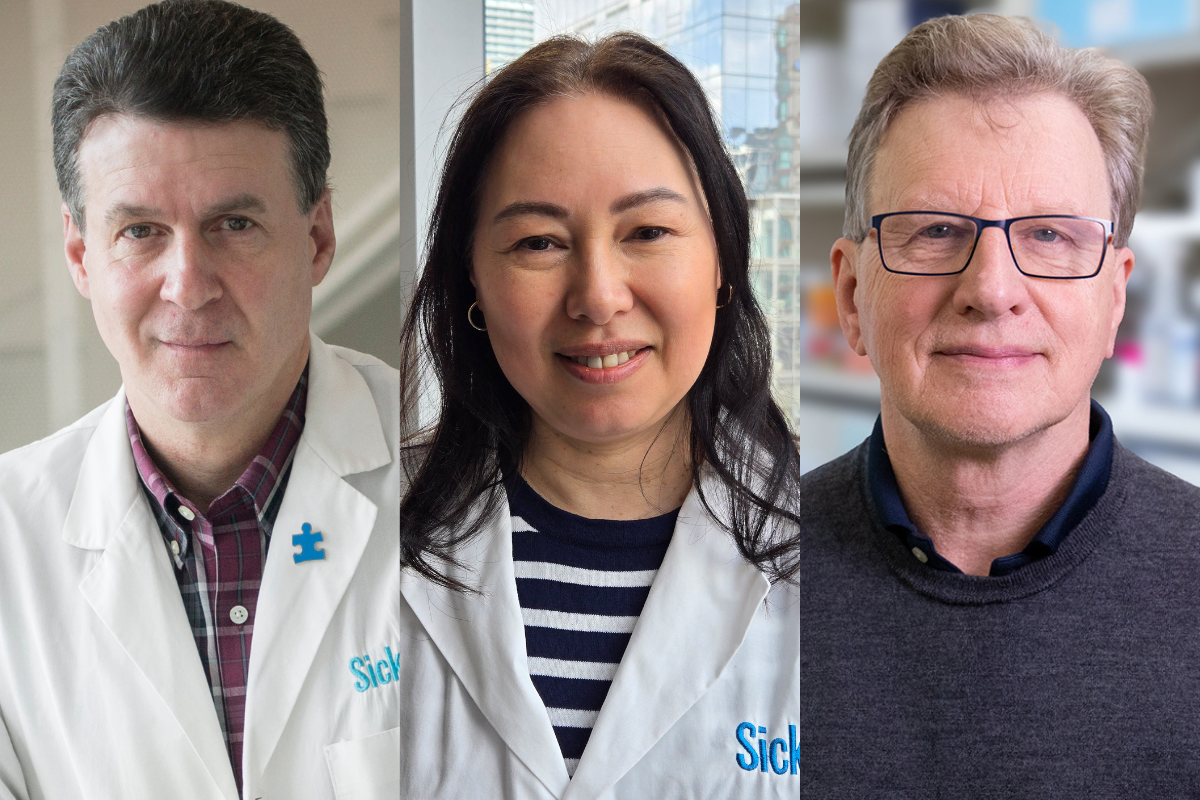 Stephen Scherer, Lisa Bradley, Graham Collingridge