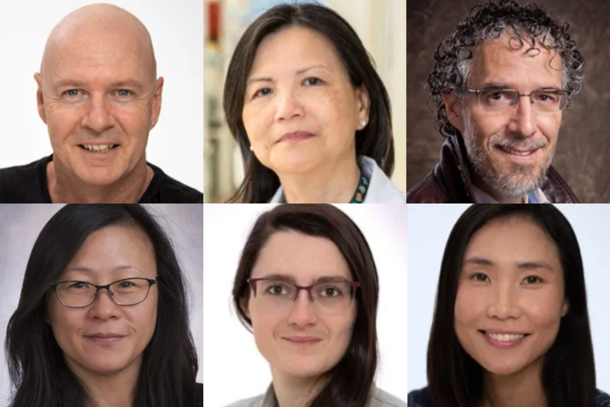Brent Derry, Annie Huang, Christopher Pearson, Lillian Sung, Anna Heath, Ji-Young Youn