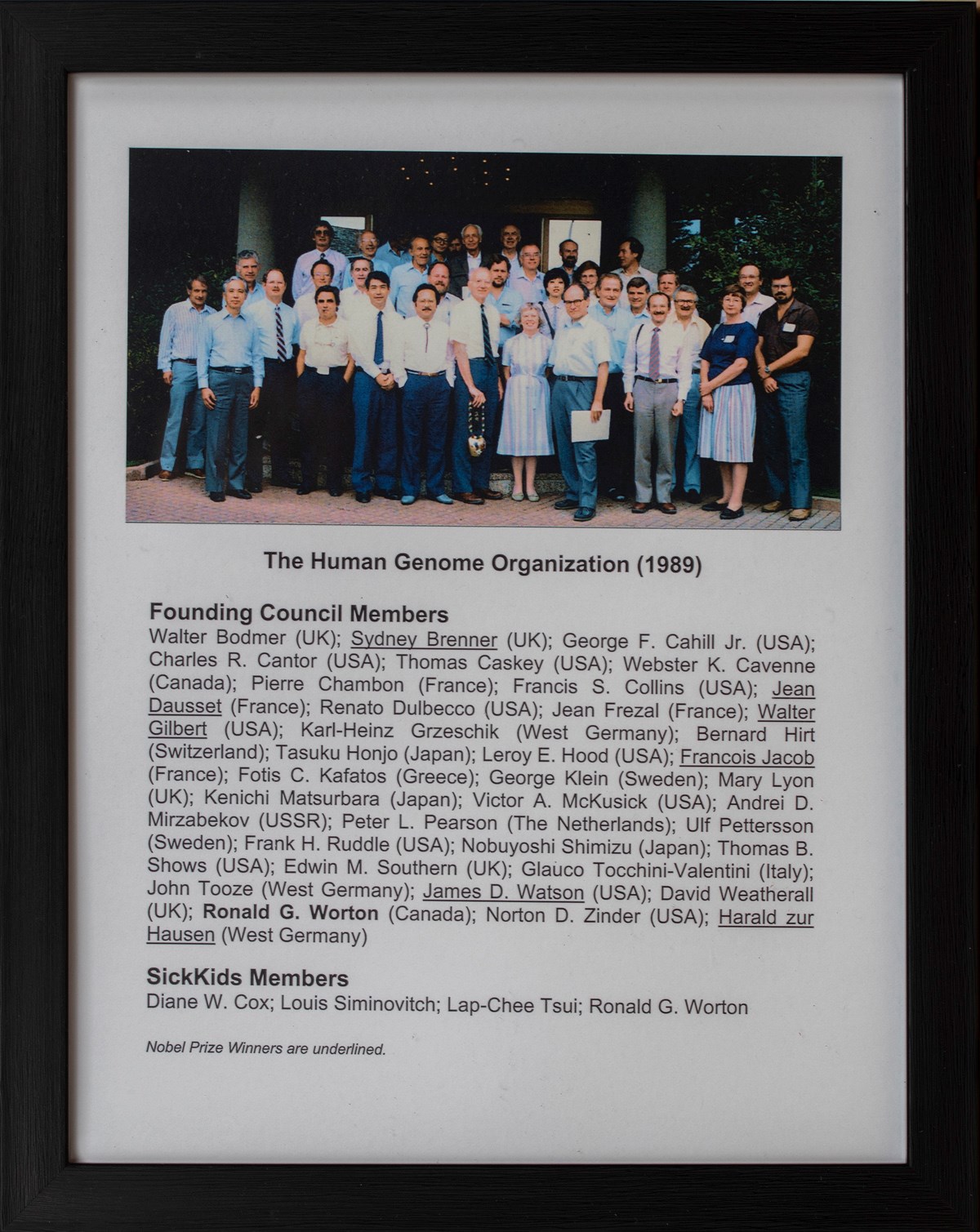 A framed group photo of the Human Genome Organization in 1989. Under the photo, there is a list of founding council members and SickKids members.
