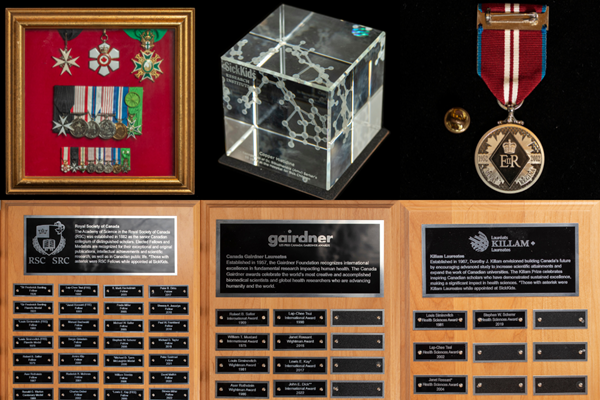 A collage consisting of Dr. Sarkar's medals, a glass cube containing a copper histidine molecular model and three plaques