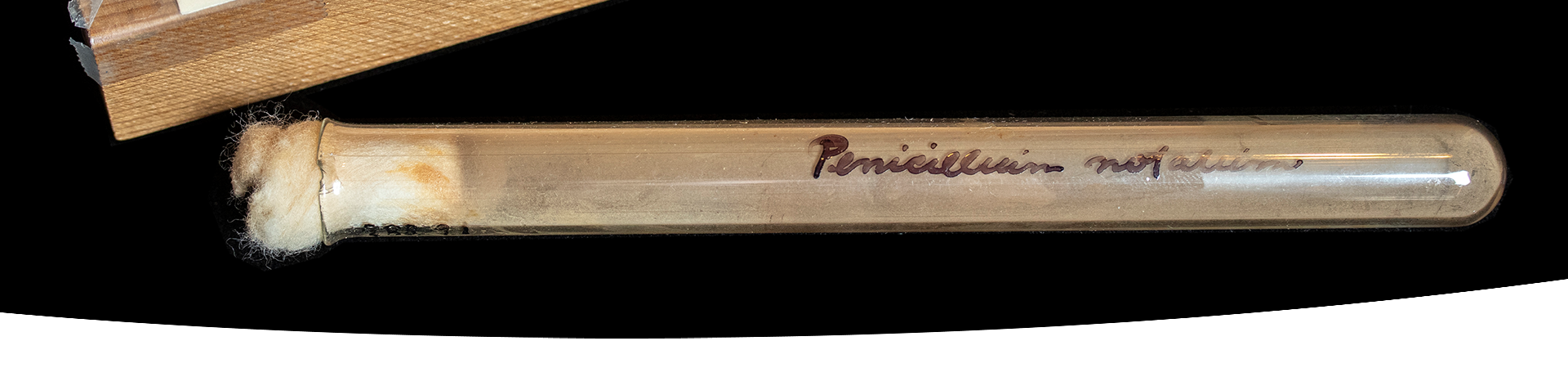 A close-up of a vial labelled Penicillium notatum