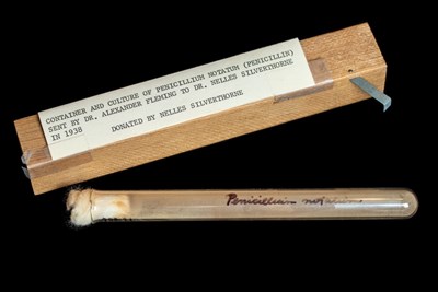 An empty glass vial with a cotton ball stuffed into the opening of the vial. The vial is labelled 'Penicillium notatum' in black marker. The vial sits next to a wooden box with a slip of paper that reads, "Container and culture of Penicillium notatum (penicillin) sent by Dr. Alexander Fleming to Dr. Nelles Silverthorne in 1938. Donated by Nelles Silverthorne."